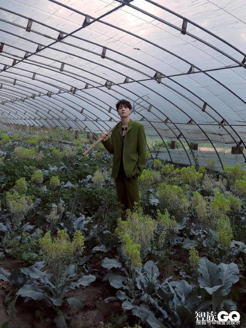 惬意吃瓜视频,揭秘热门视频背后的故事