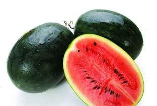 shry吃瓜,网络热词背后的故事与影响