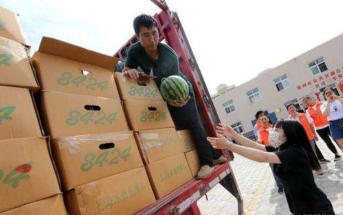 西瓜打翻 司机吃瓜,司机意外吃上翻落西瓜