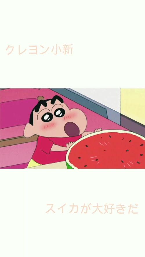 小新吃瓜壁纸高清可爱,萌态可掬,可爱至极