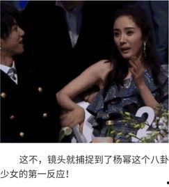 明星吃瓜群众演戏,吃瓜群众揭秘演艺圈真实面纱