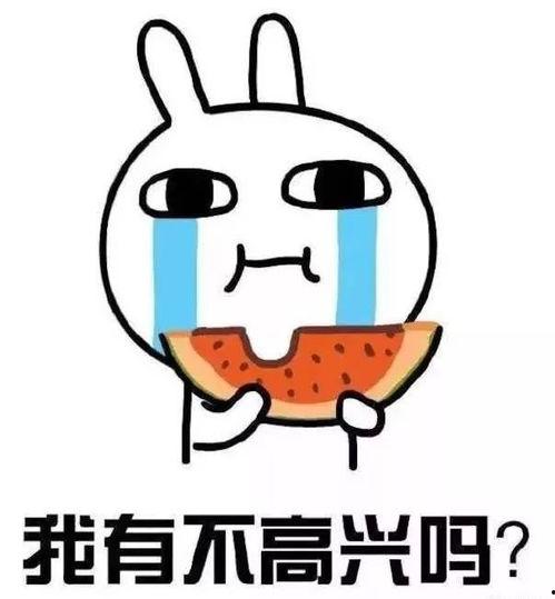 围炉吃瓜者,共享冬日暖阳下的闲适时光