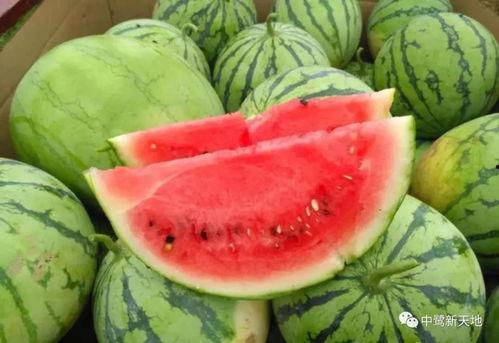 今日吃瓜856,揭秘娱乐圈最新热点事件