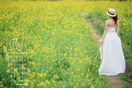 且听风吟吃瓜,笑谈瓜界风云