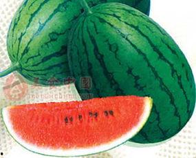 最新吃瓜51,事件背后真相大起底