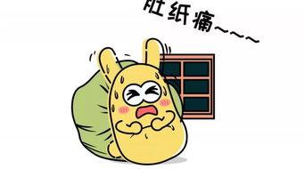 吃瓜群众打包,吃瓜群众视角下的明星生活