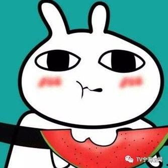 吃瓜群众打包,吃瓜群众视角下的明星生活