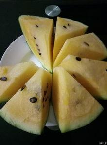 华人论坛吃瓜,吃瓜群众如何解读娱乐圈风云变幻?