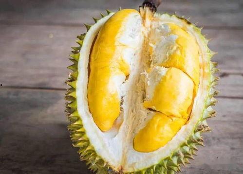 众所周知野生系列吃瓜,揭秘吃瓜群众的狂欢盛宴