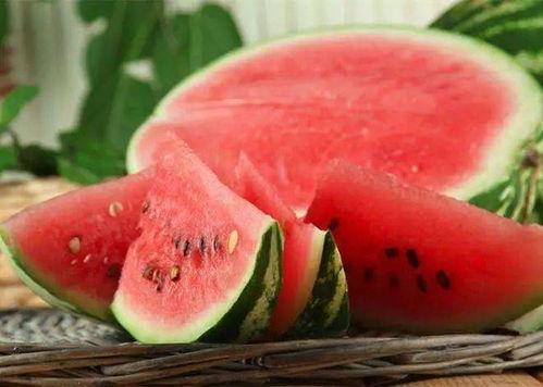 众所周知野生系列吃瓜,揭秘吃瓜群众的狂欢盛宴